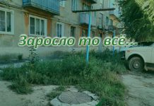 Заросло то всё…