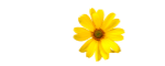 8032023k91