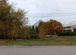 Ноябрь начался с непогоды